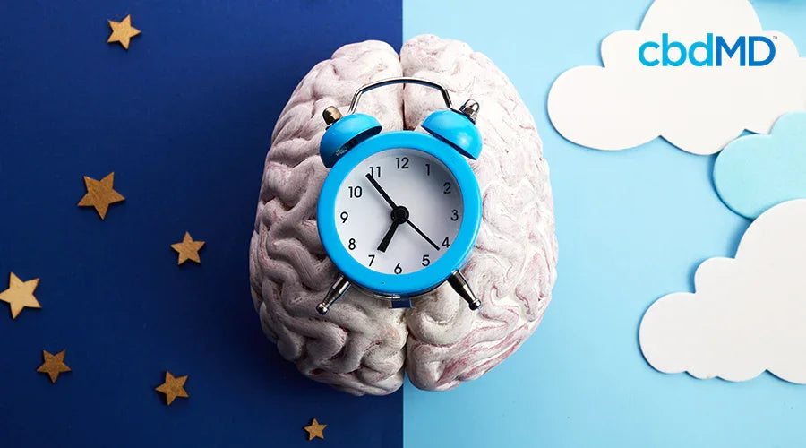 Get Better Sleep During the Day on Night Shift cbdMD