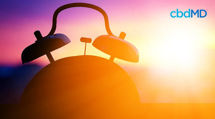 Benefits Of Waking Up Early And How CBD Can Help Kickstart Your Day - cbdMD