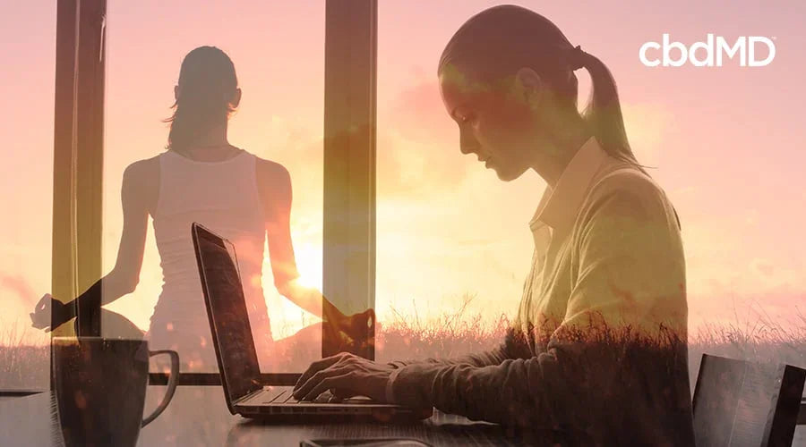 CBD for Focus: Everything You Need to Know - cbdMD