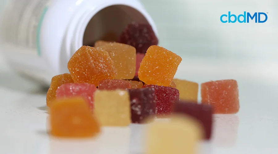 The Power of Hemp Gummies: Discover the Benefits - cbdMD