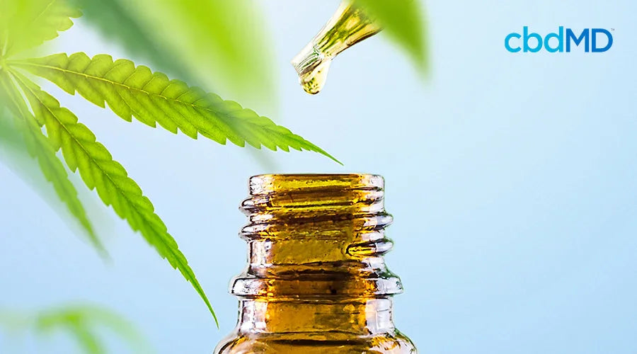 What Is CBD Oil? Here’s What You Need To Know - cbdMD