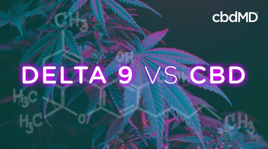 What Is Delta 9 THC? CBD vs. Delta 9 - cbdMD