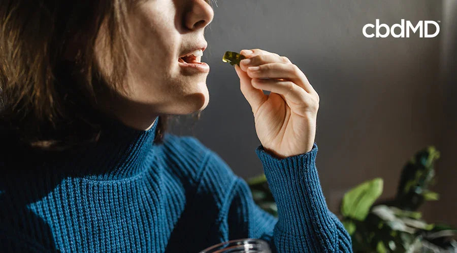 How to Safely Try THC Gummies - cbdMD