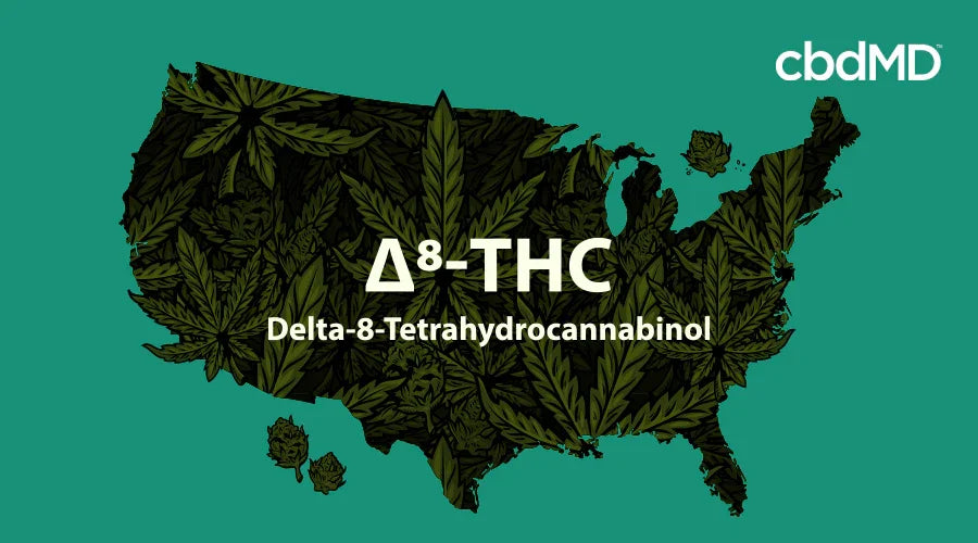 US map with cannabis leaves, Delta-8-Tetrahydrocannabinol text, green background