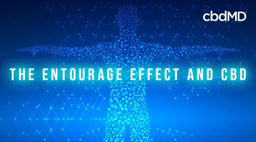 Digital human figure made of particles with text 'The Entourage Effect and CBD' on blue background