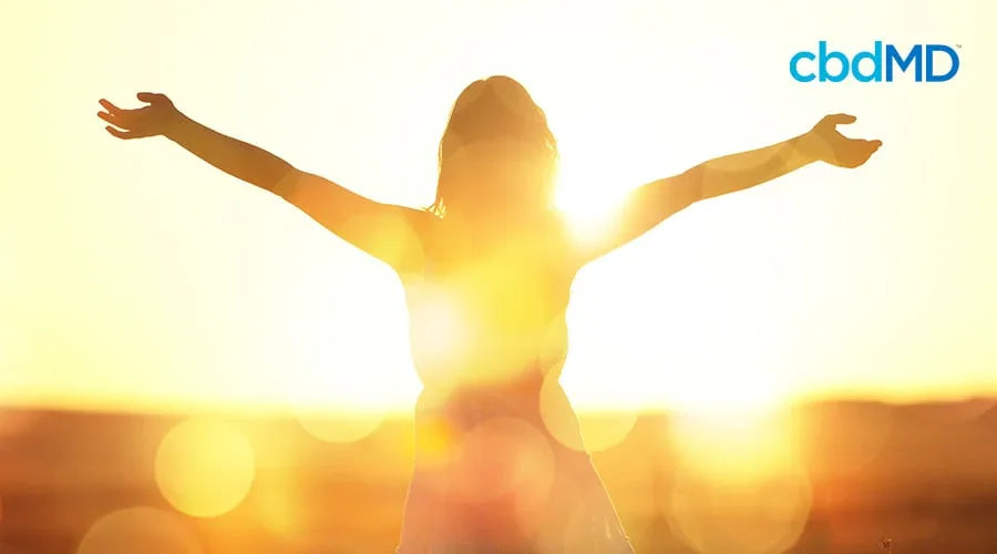 Silhouette of person in sunlight with arms raised, promoting wellness and natural health