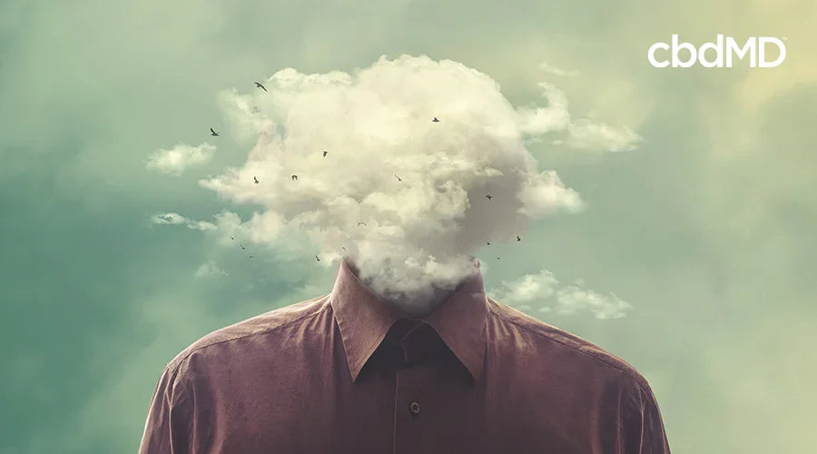 What Is Brain Fog? Understanding the Feeling - cbdMD