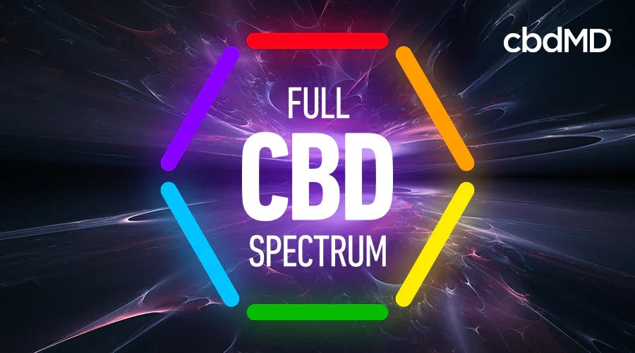 What is Full Spectrum CBD? - cbdMD