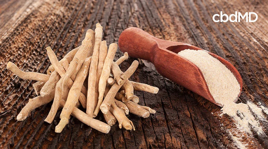 What Is Ashwagandha, and Can You Use It and CBD for Stress? - cbdMD