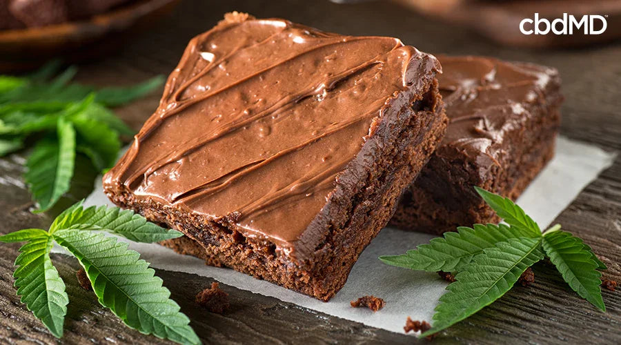 Two cannabis brownies sitting on a plate with cannabis leaves around it