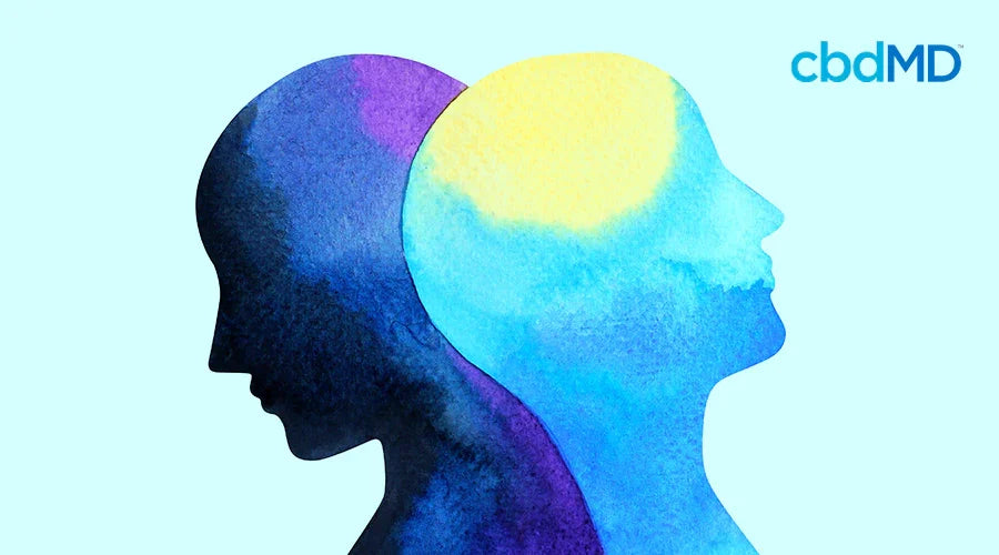 Ways to Practice Gratitude and Improve Mental Health - cbdMD