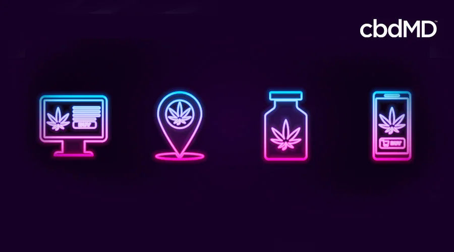 Neon icons of a computer, location pin, jar, and smartphone with hemp leaves on dark background.