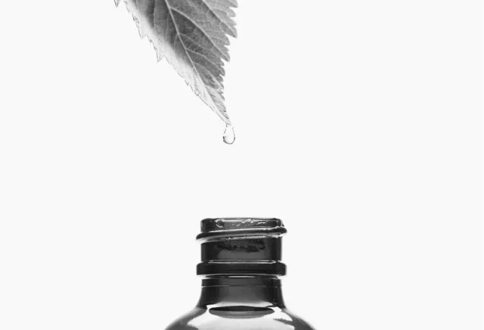 2023 Top Trendy Cannabis Products - cbdMD