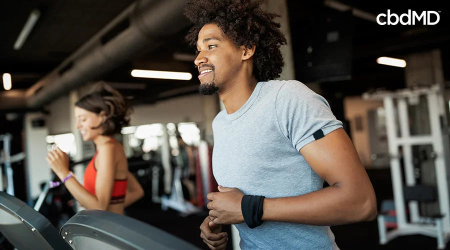 Smiling man and woman exercising on treadmills at gym, active healthy lifestyle