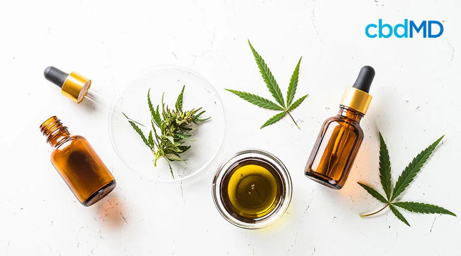 tincture bottles and hemp leaves on a white counter
