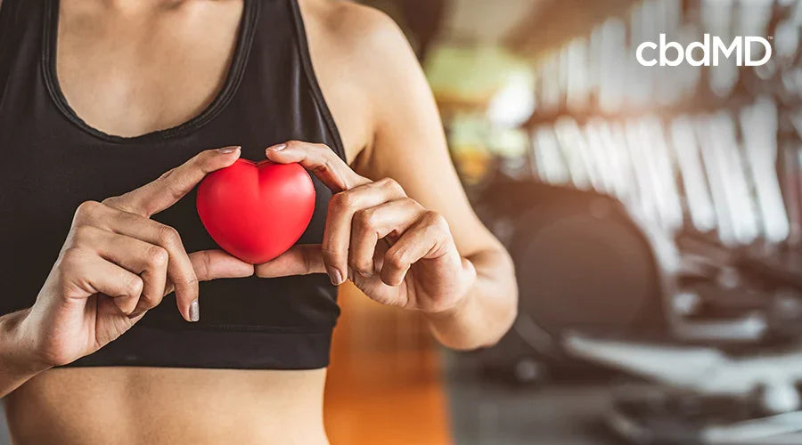 Woman in workout clothes holding red heart in gym, symbolizing heart health and fitness