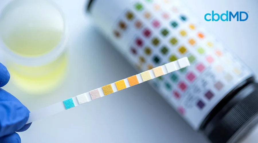 Does Delta 8 Show Up on a Drug Test? - cbdMD