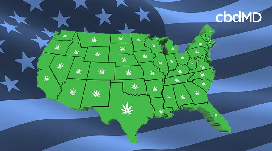 In What States Are Delta 8 and Delta 9 Legal to Buy? - cbdMD