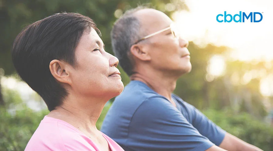 Older couple meditating outdoors, relaxing in nature, stress relief and wellness focus