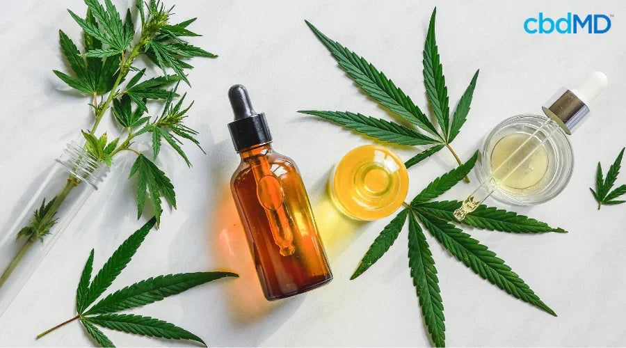 CBG tincture bottles and dropper with young hemp leaves on white background