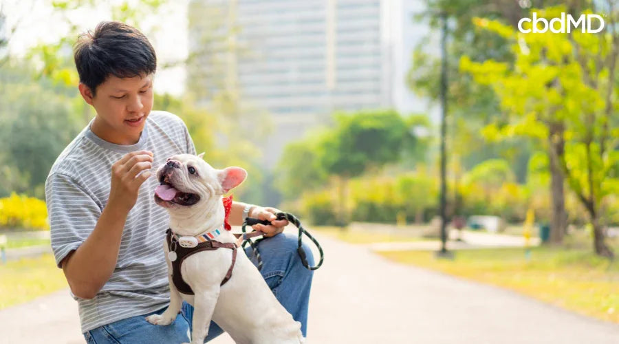 Man Giving Dog Probiotic Treat While on Walk
