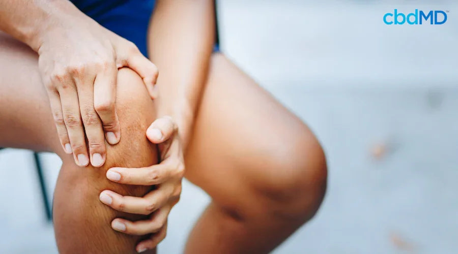 MD Discusses CBD for Bone and Joint Health MD Discusses CBD for Bone and Joint Health