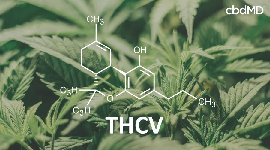thcv molecule diagram against a background of hemp leaves