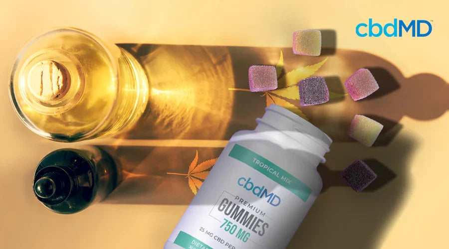 The Benefits of CBD Oil vs CBD Gummies: Which is Right for You? - cbdMD