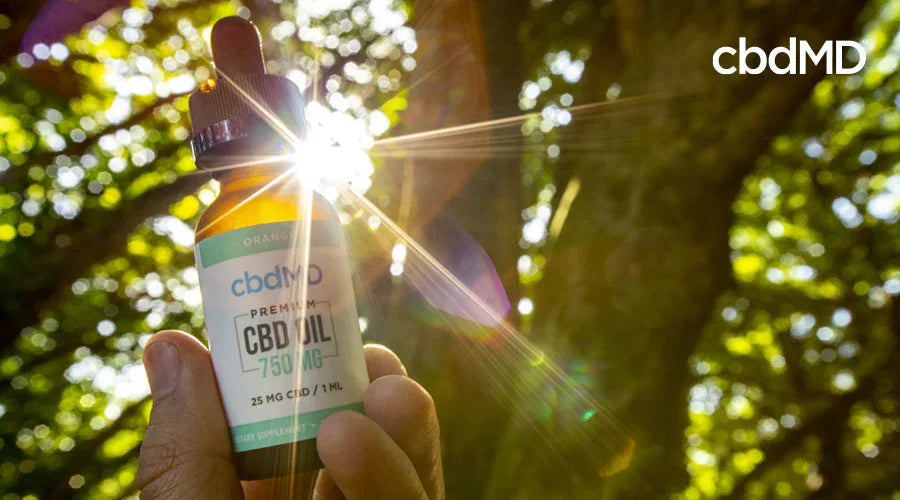 Benefits of Taking CBD During the Day - cbdMD