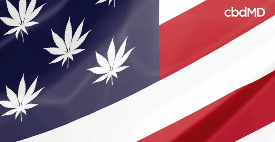 The History of CBD In America: A Comprehensive Overview - cbdMD