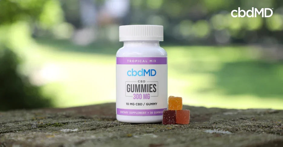 CBD gummies bottle and assorted gummies on outdoor stone surface with blurred green background