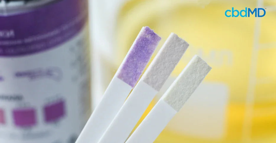 close up of three test strips with two gray tips and one purple against a yellow background