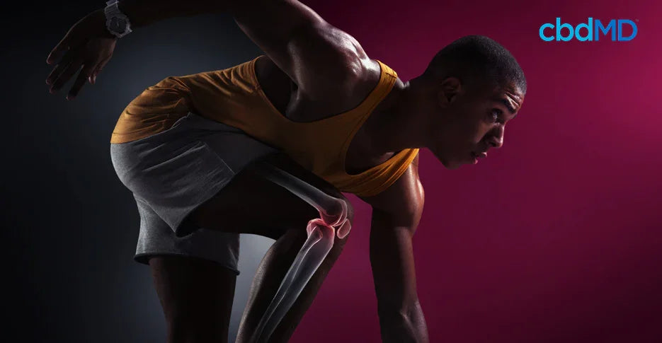 Is There a Connection Between Endocannabinoids & Exercise? What Athletes Should Know - cbdMD