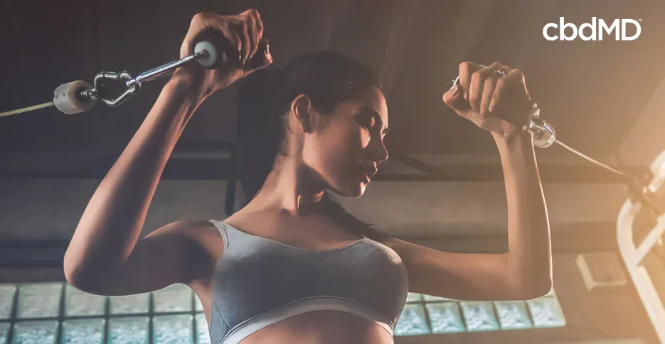Using CBD to Optimize Your Fitness Performance - cbdMD