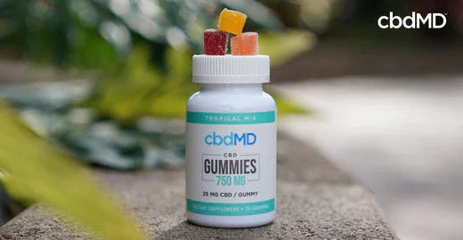 How to Take CBD Oil: 7 Most Common Methods - cbdMD