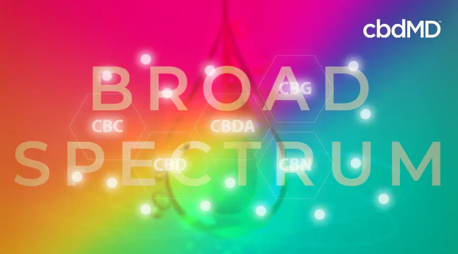 Broad spectrum CBD oil concept with colorful gradient background, drop shape, and cannabinoid names.