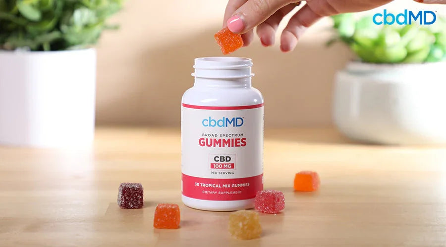Someone taking a cbd gummy out of the top of broad spectrum gummies 100 mg per serving tropical mix with cbd gummies around it - cbdMD