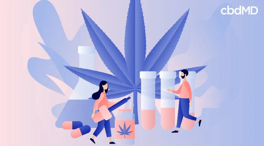 Illustration of CBD oil, capsules, lab equipment, and people with a large hemp leaf in background