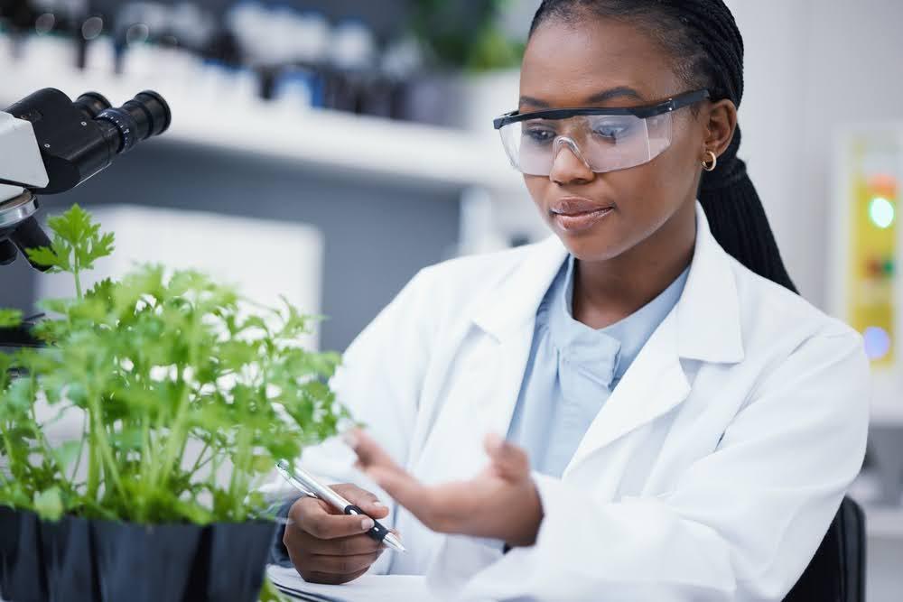 Scientist in lab coat examining green plant beside microscope, CBD research concept