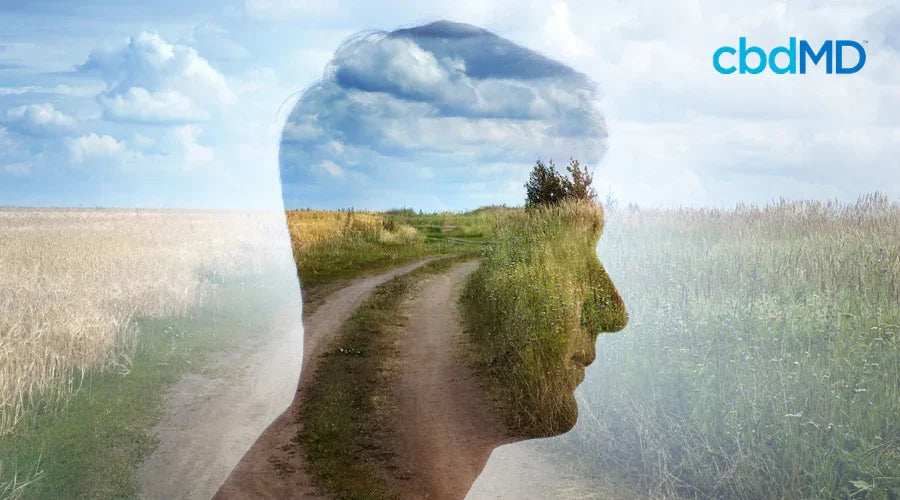 CBD and Mindfulness: Being More Present in Daily Life - cbdMD
