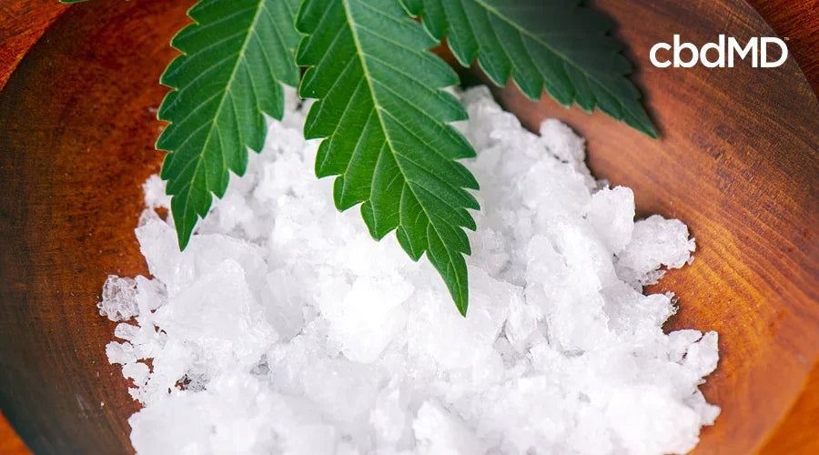 CBD Isolate vs Full Spectrum: What’s the Difference? - cbdMD