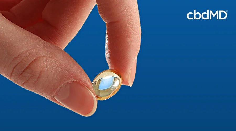 CBD Capsules & Softgels: A Buyer’s Guide - cbdMD