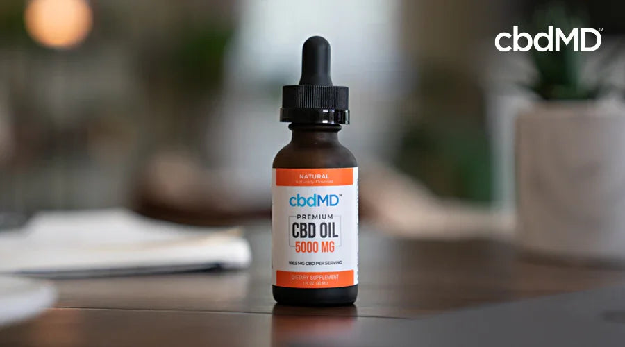 cbdMD’s CBD Tinctures: What’s So Special About Them? - cbdMD