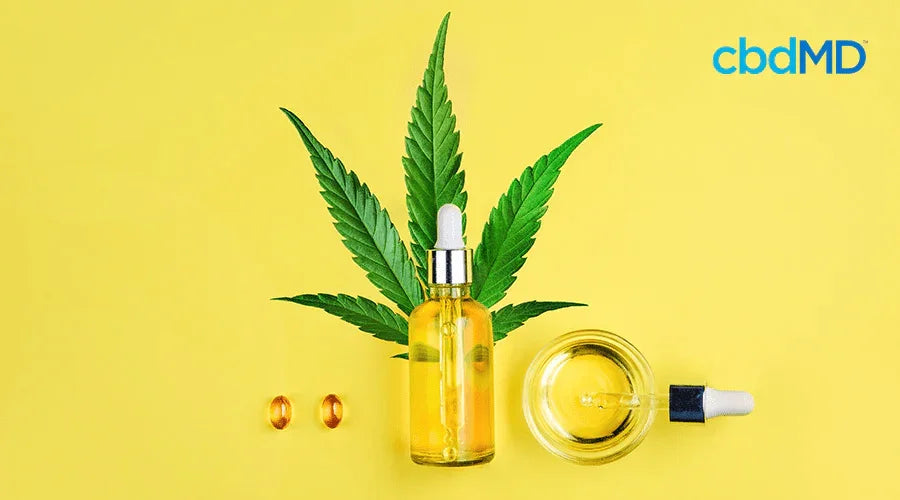 Glass dropper bottle with oil, hemp leaf, capsules, and cbdMD logo on yellow background