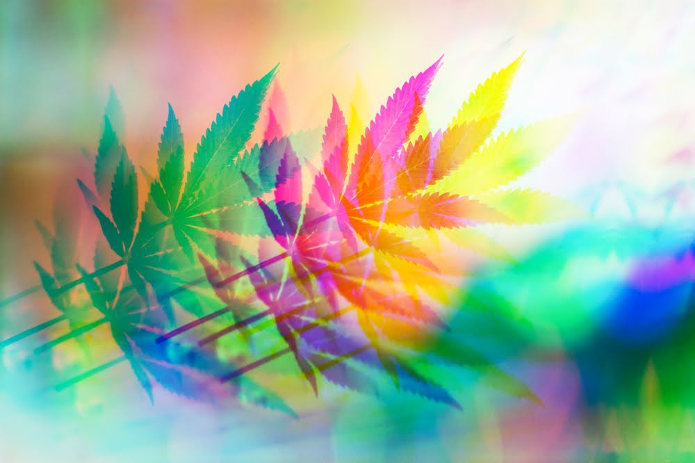 Abstract colorful hemp plant leaves illustration with vibrant rainbow hues