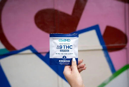 The Top Trend in Natural Wellness: 5 New Products From cbdMD - cbdMD