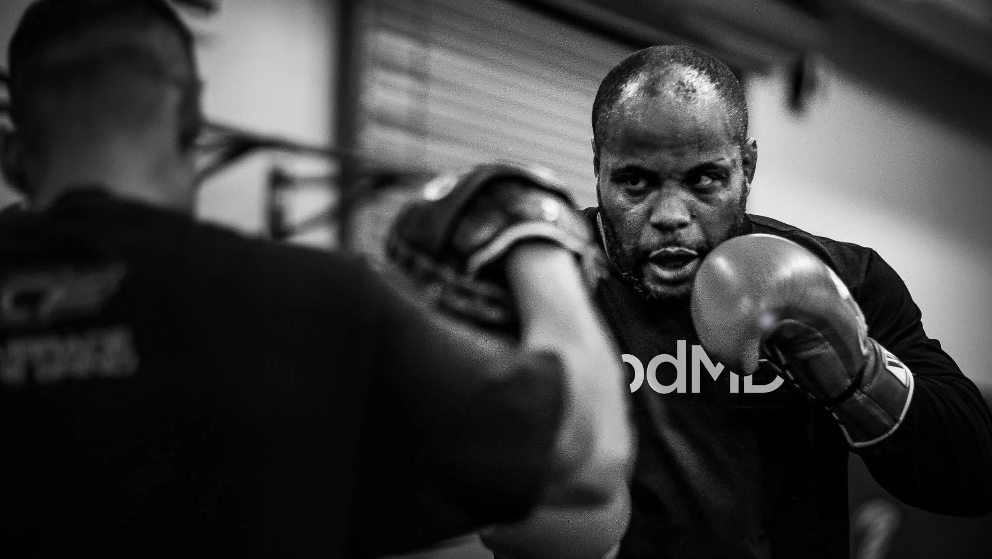 Focused male boxer in training, wearing gloves and a visible cbdMD shirt in the gym