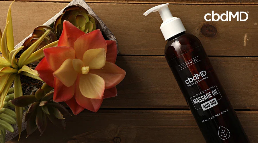 CBD Massage Oils From cbdMD: The Ultimate in CBD Relaxation - cbdMD