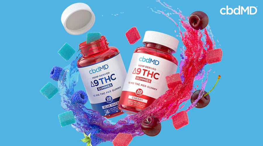 Hemp derived delta 9 thc 10 mg blue razz and cherry next to each other with gummies blue raspberries and cherries all around them - cbdMD