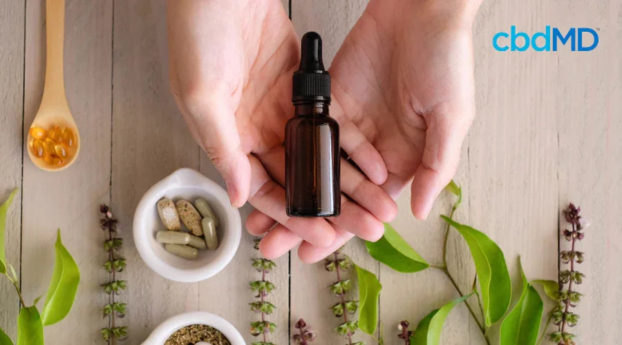Does the Source of CBD Matter? - cbdMD